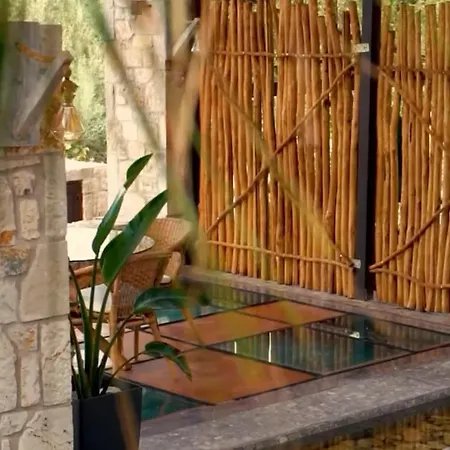 The Vineyard - Hippothoe Villa *